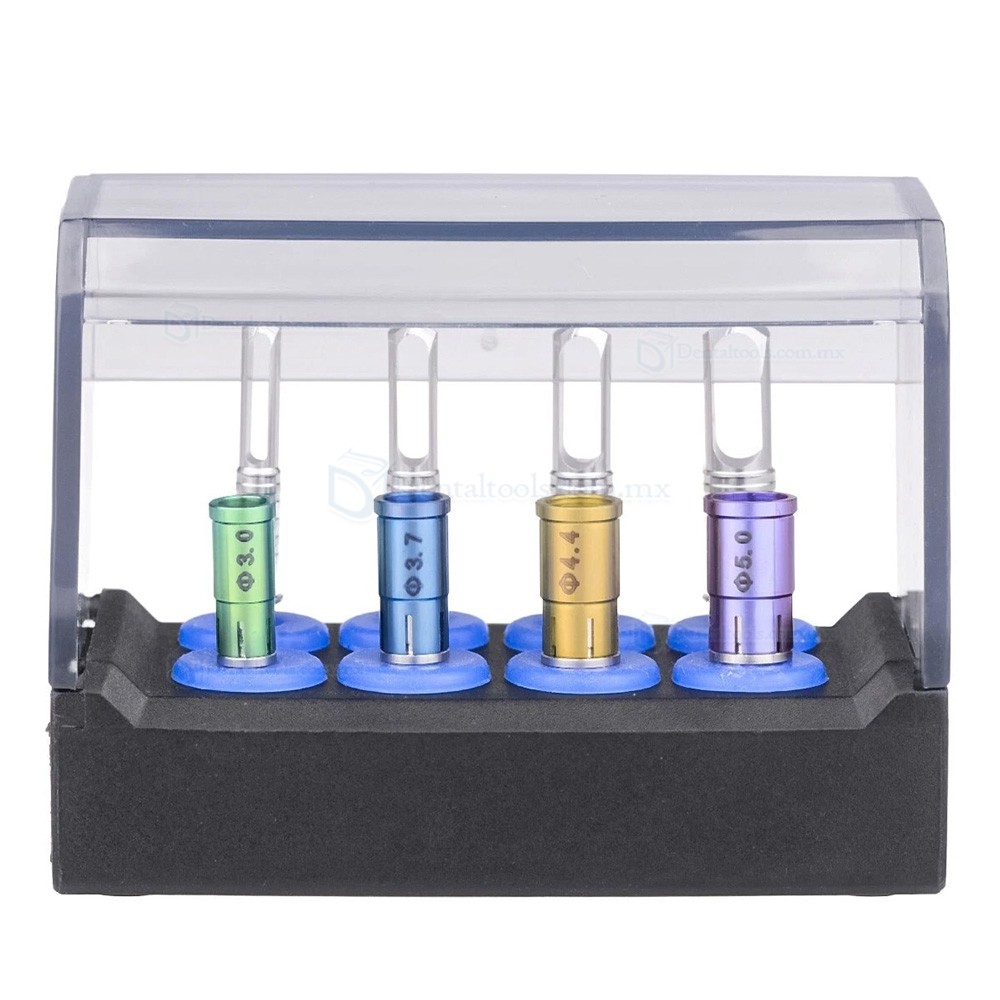 Kit de Recolector de Fresa &Oacute;sea + Set de Trefinas para Corte